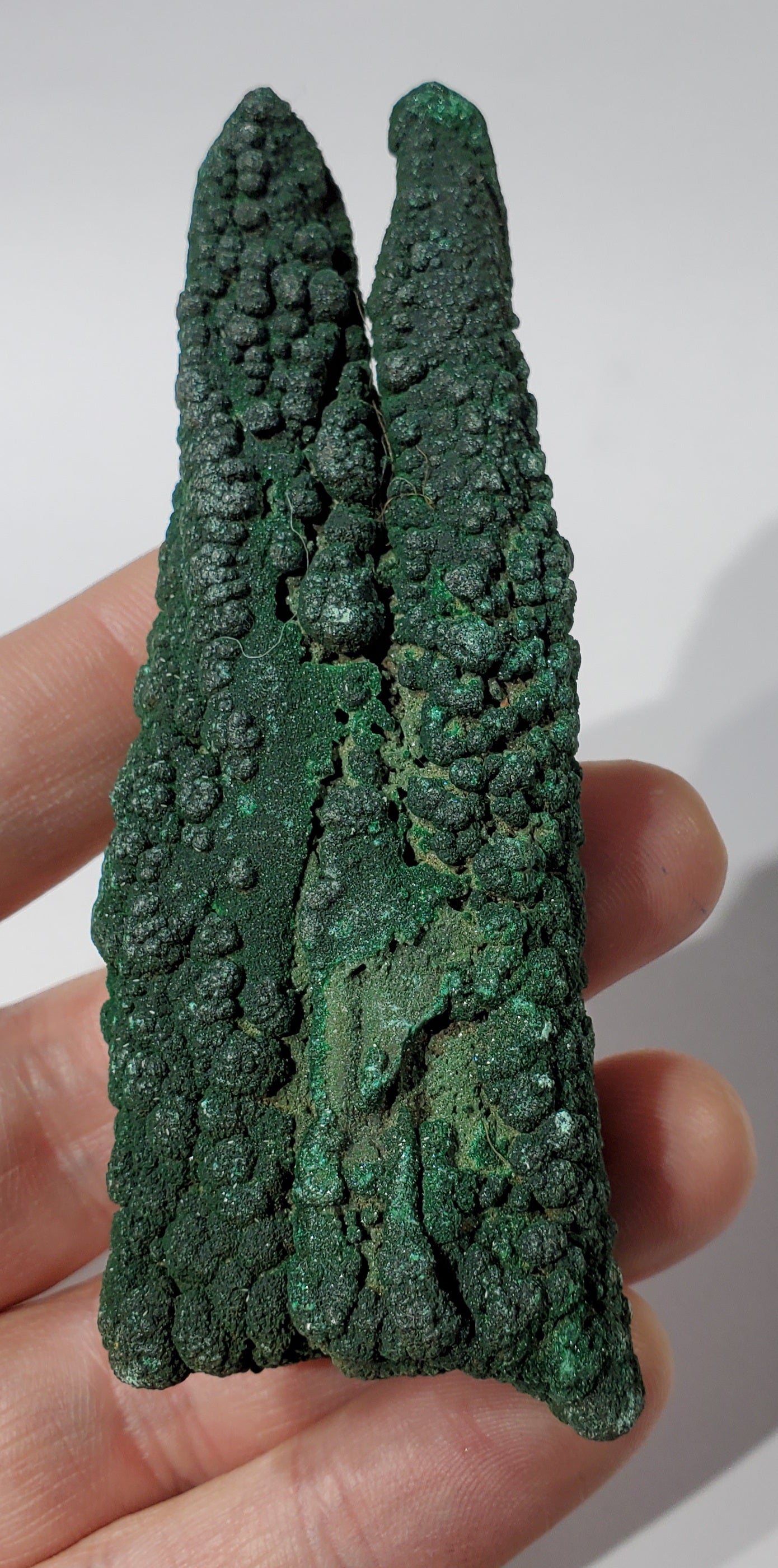 Malachite Stalactite, Congo