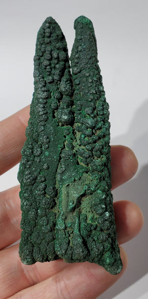Malachite Stalactite, Congo