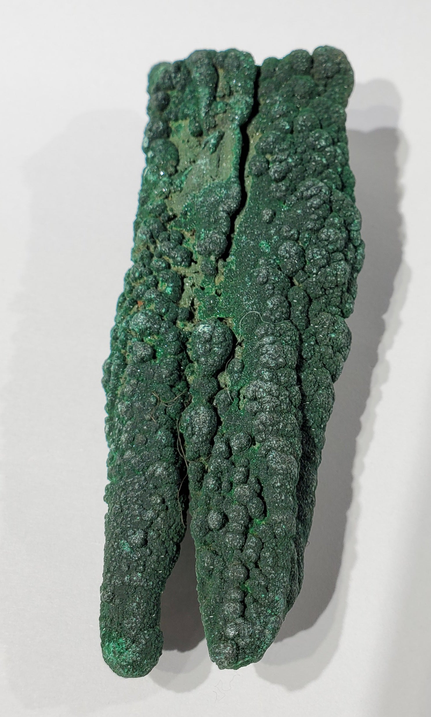 Malachite Stalactite, Congo