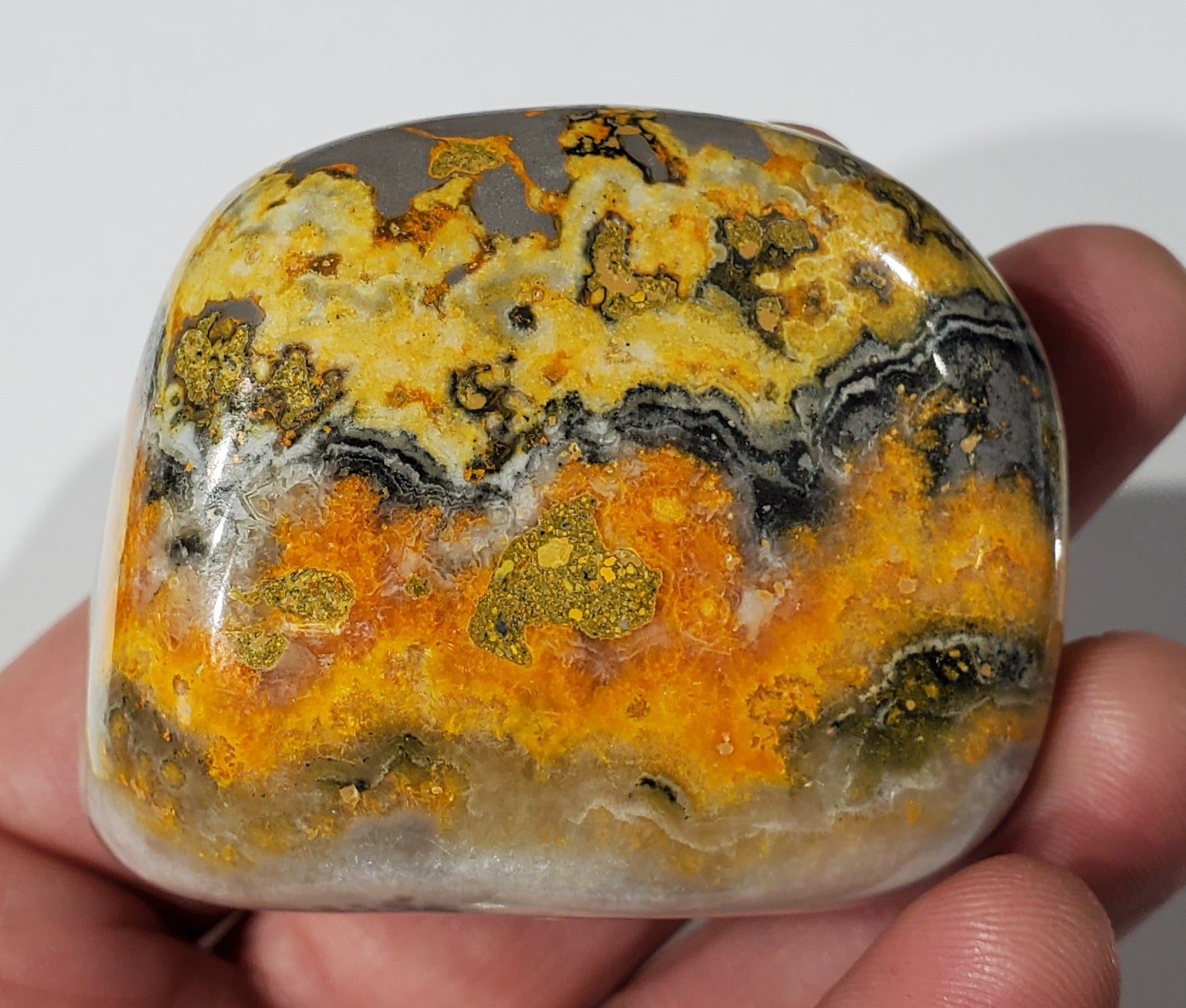 Bumble Bee Jasper Free Form