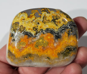 Bumble Bee Jasper Free Form