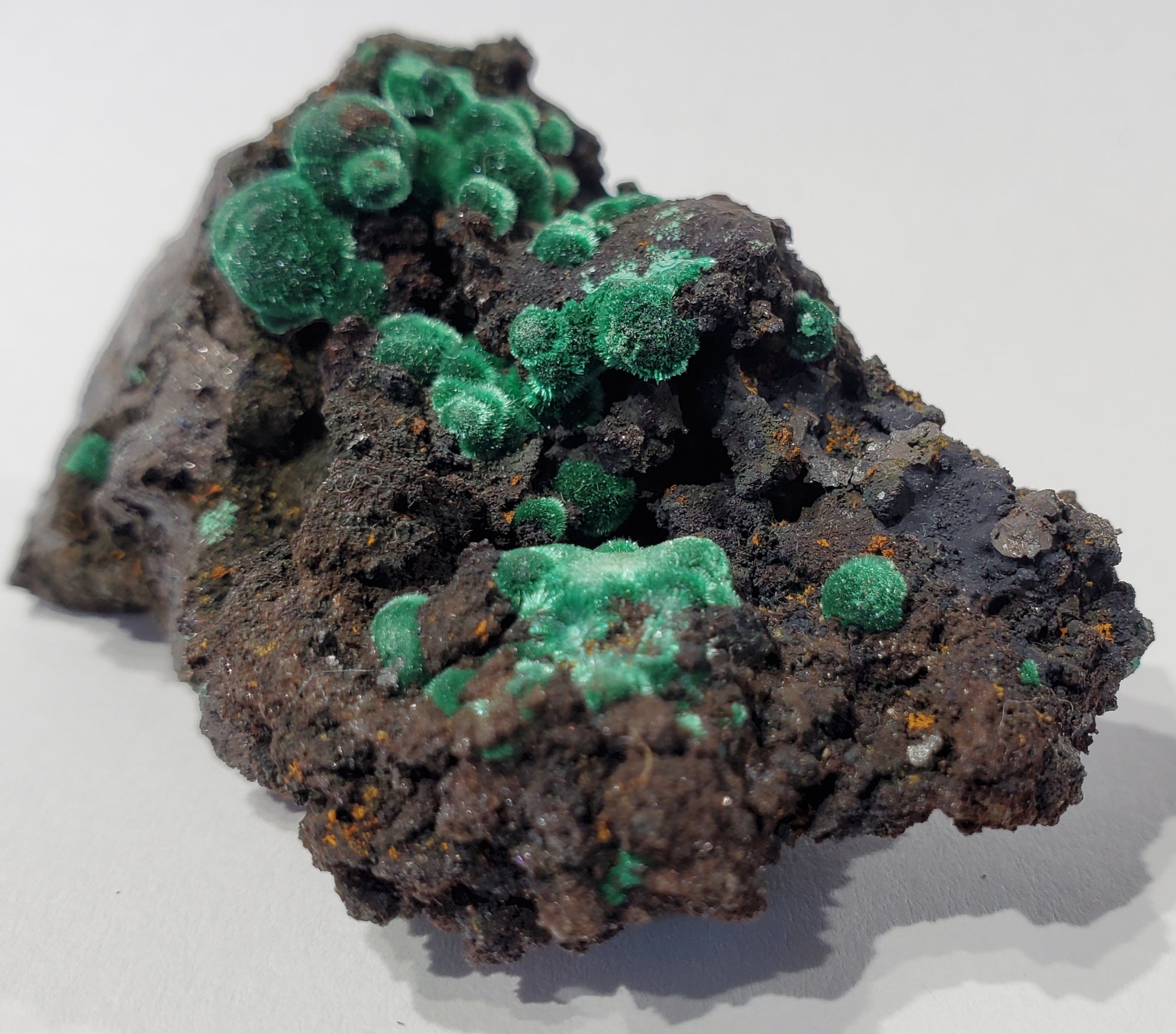 Botryoidial Fibrous Malachite (Morocco)