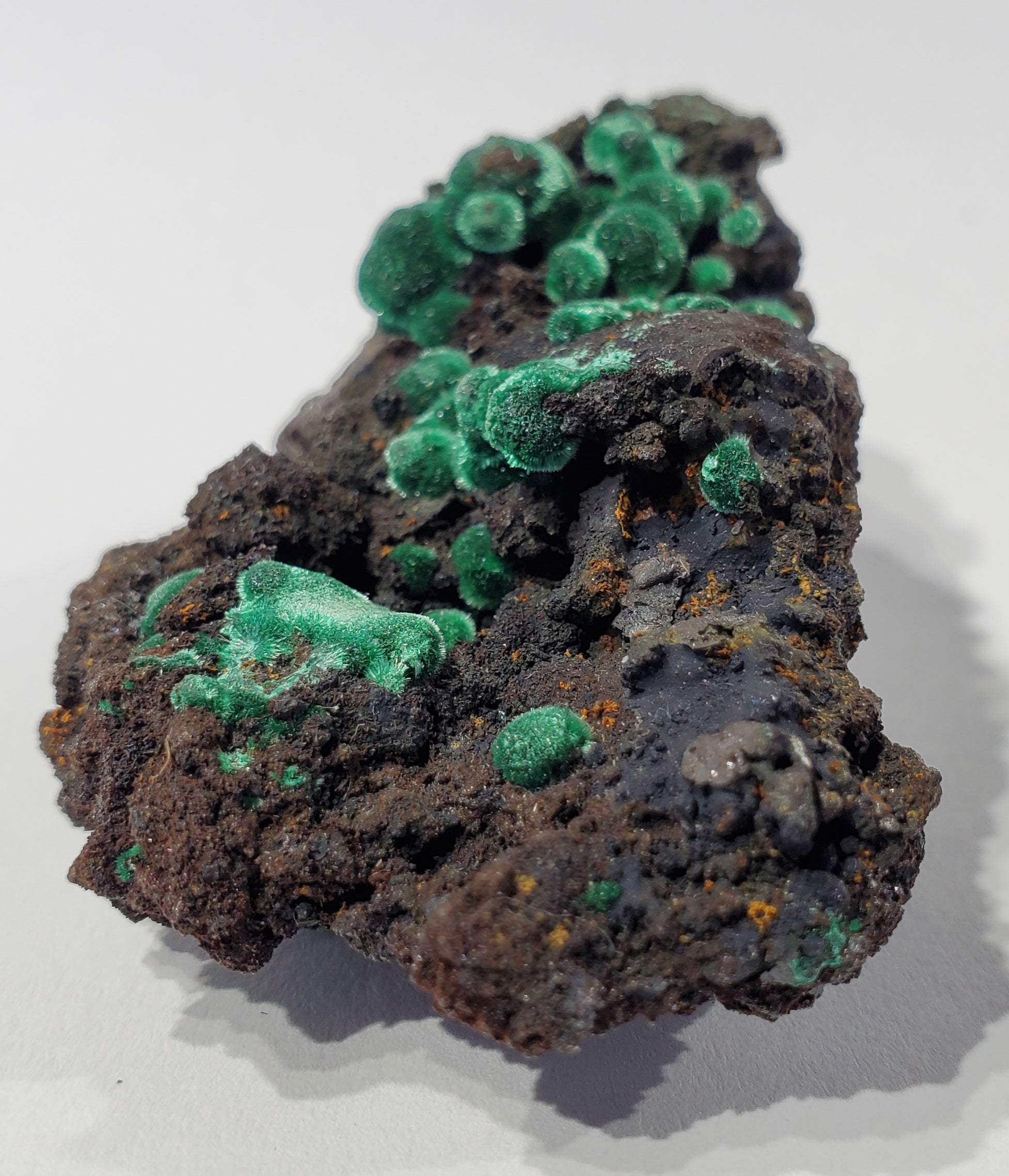 Botryoidial Fibrous Malachite (Morocco)