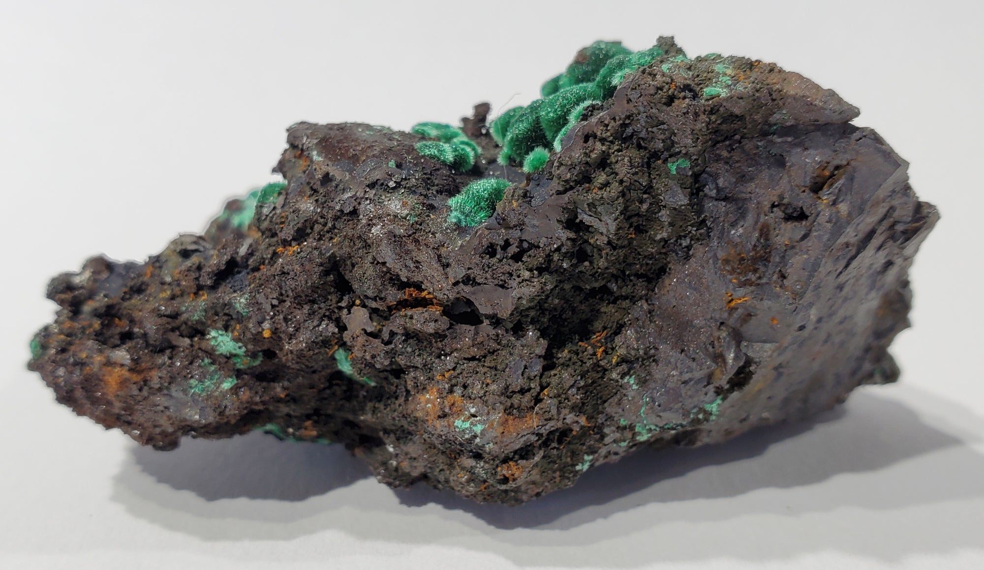 Botryoidial Fibrous Malachite (Morocco)