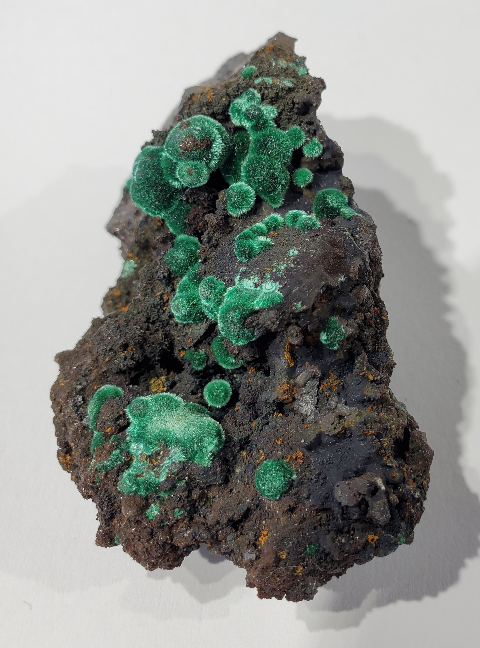 Botryoidial Fibrous Malachite (Morocco)