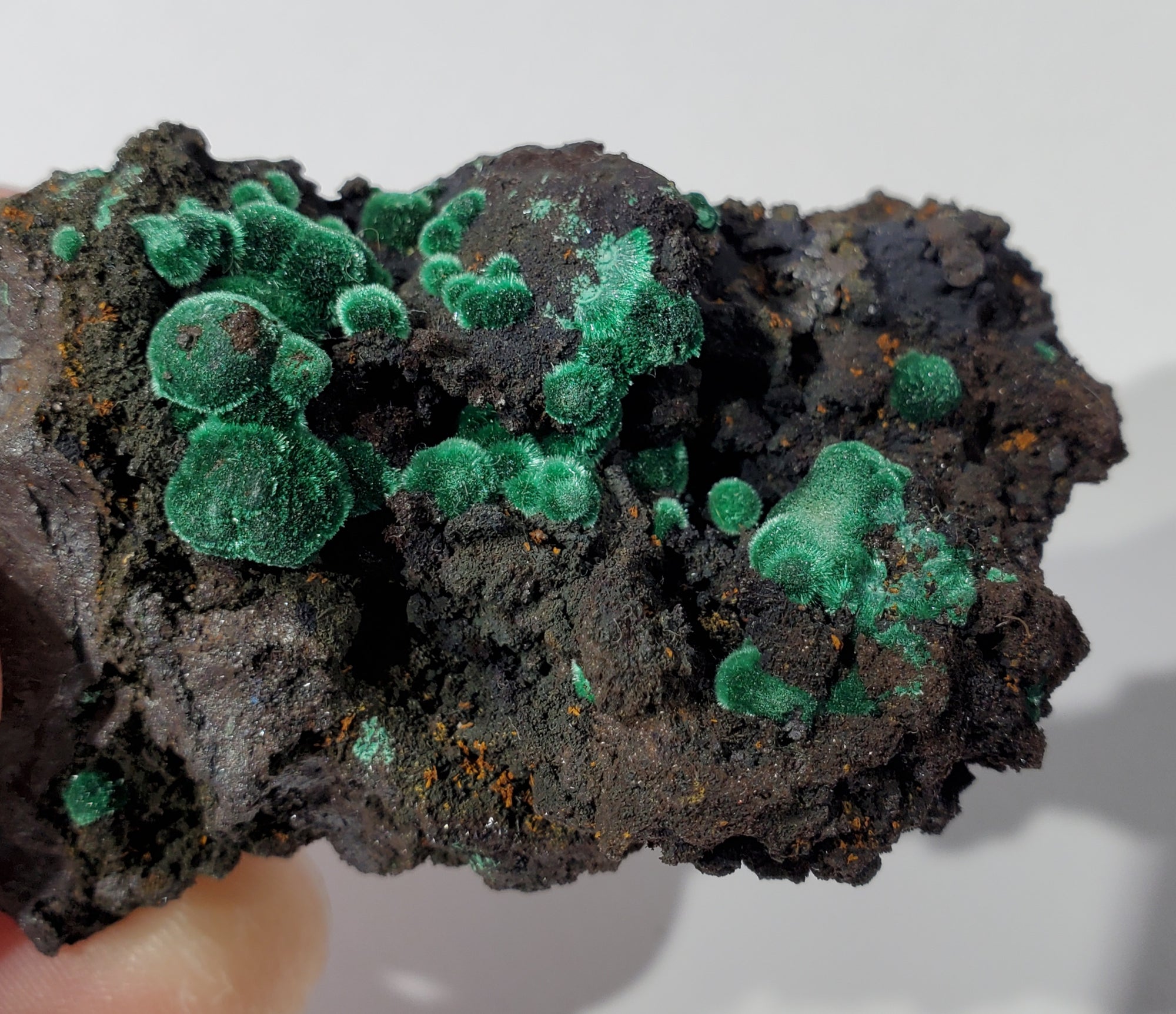 Botryoidial Fibrous Malachite (Morocco)