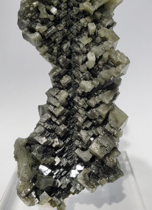 Skeletal Halite (Poland)