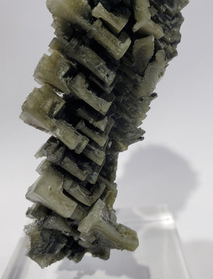 Skeletal Halite (Poland)