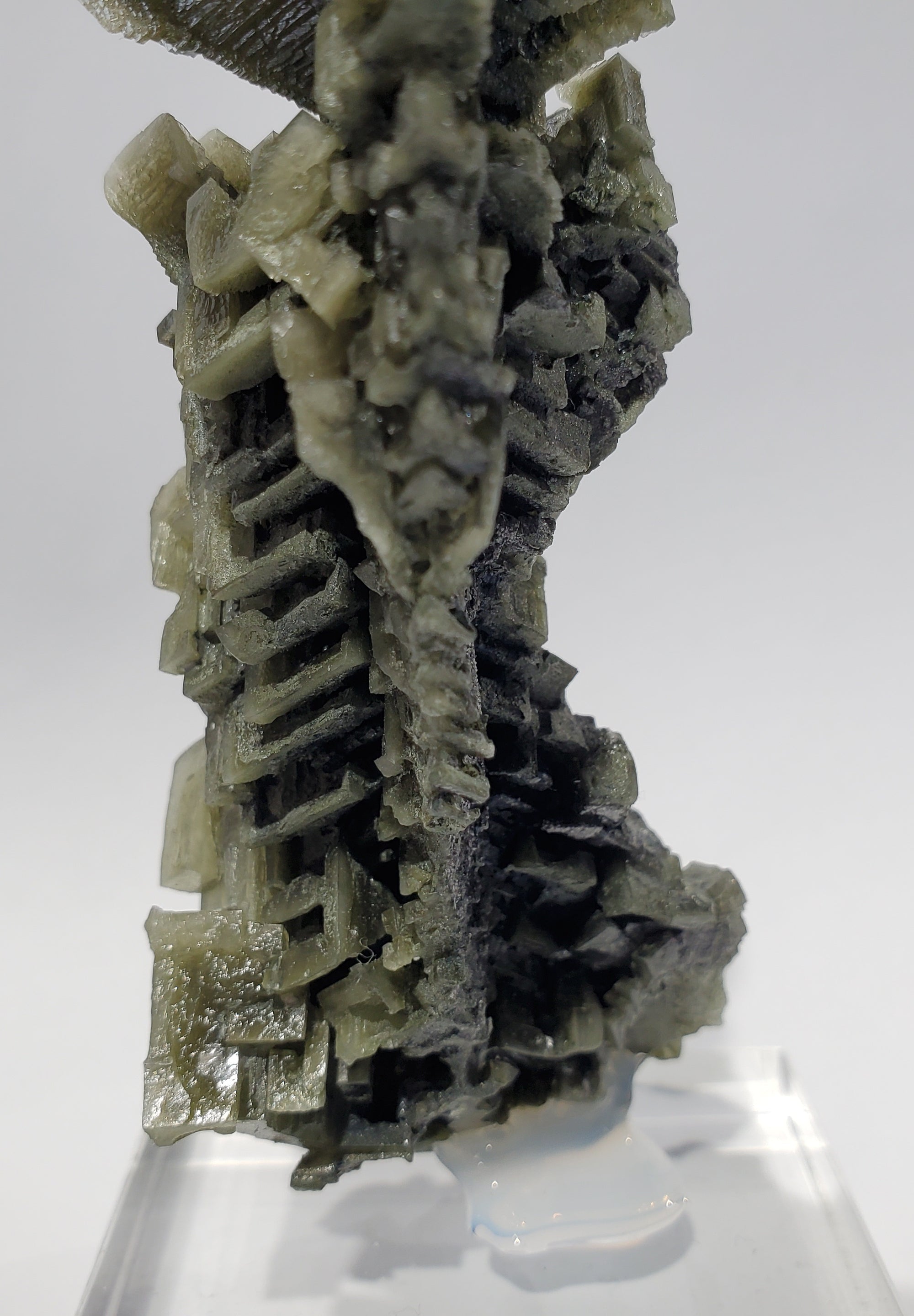 Skeletal Halite (Poland)