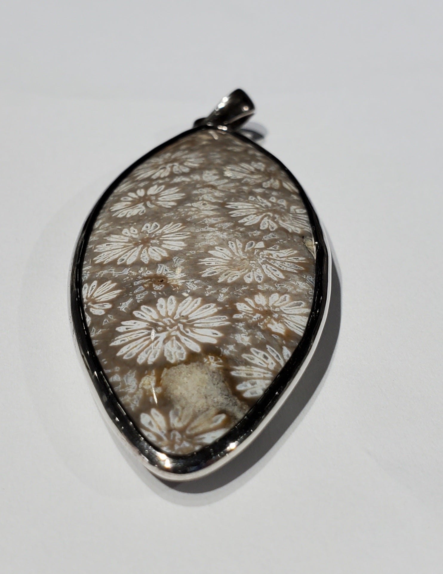 Fossilized Coral Pendant