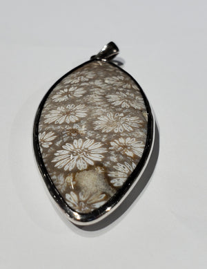 Fossilized Coral Pendant