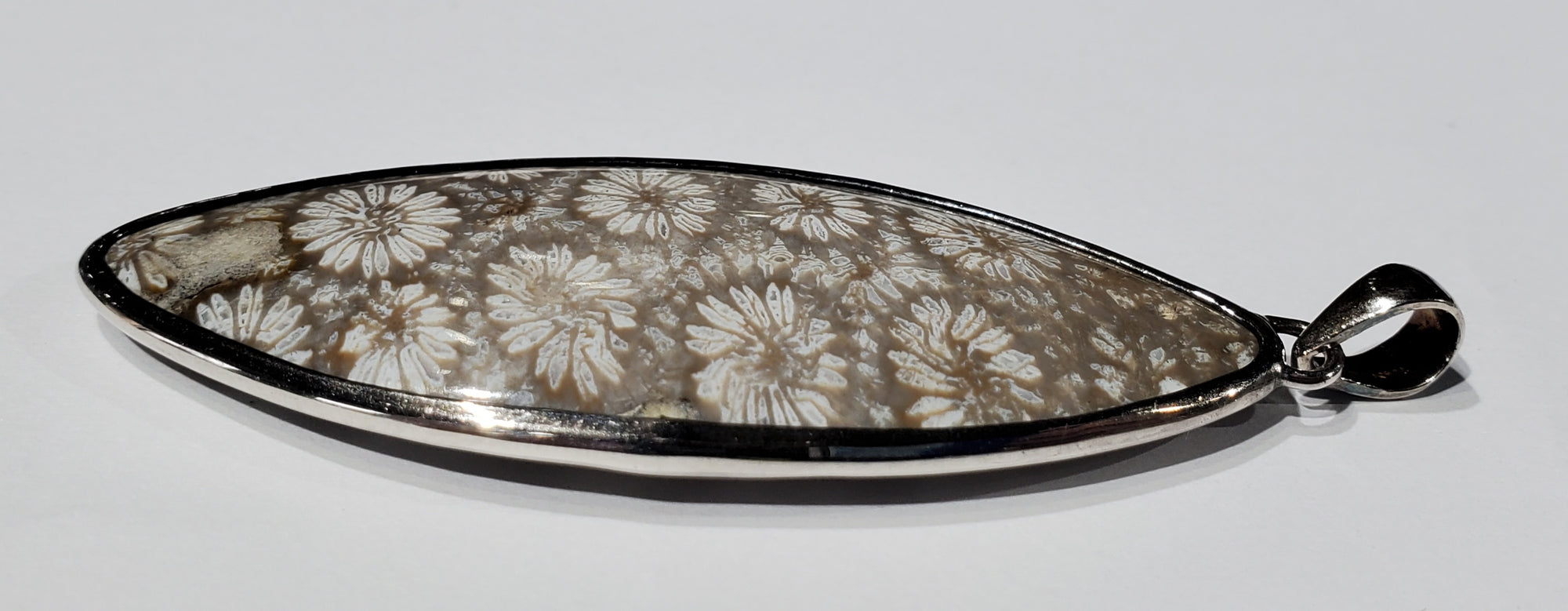 Fossilized Coral Pendant