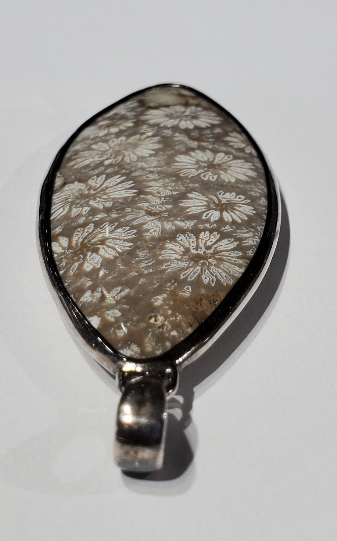 Fossilized Coral Pendant