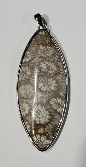 Fossilized Coral Pendant