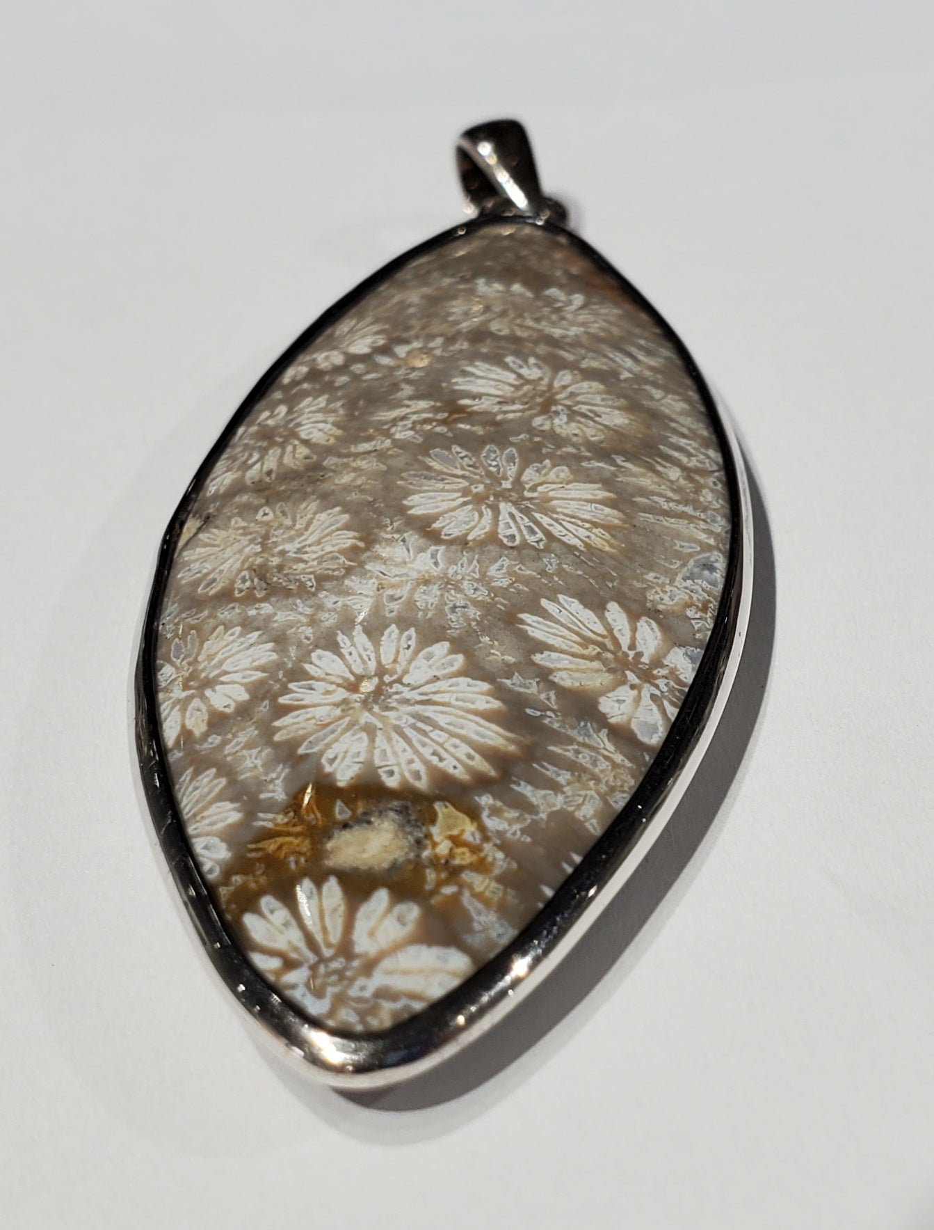 Fossilized Coral Pendant