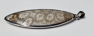 Fossilized Coral Pendant