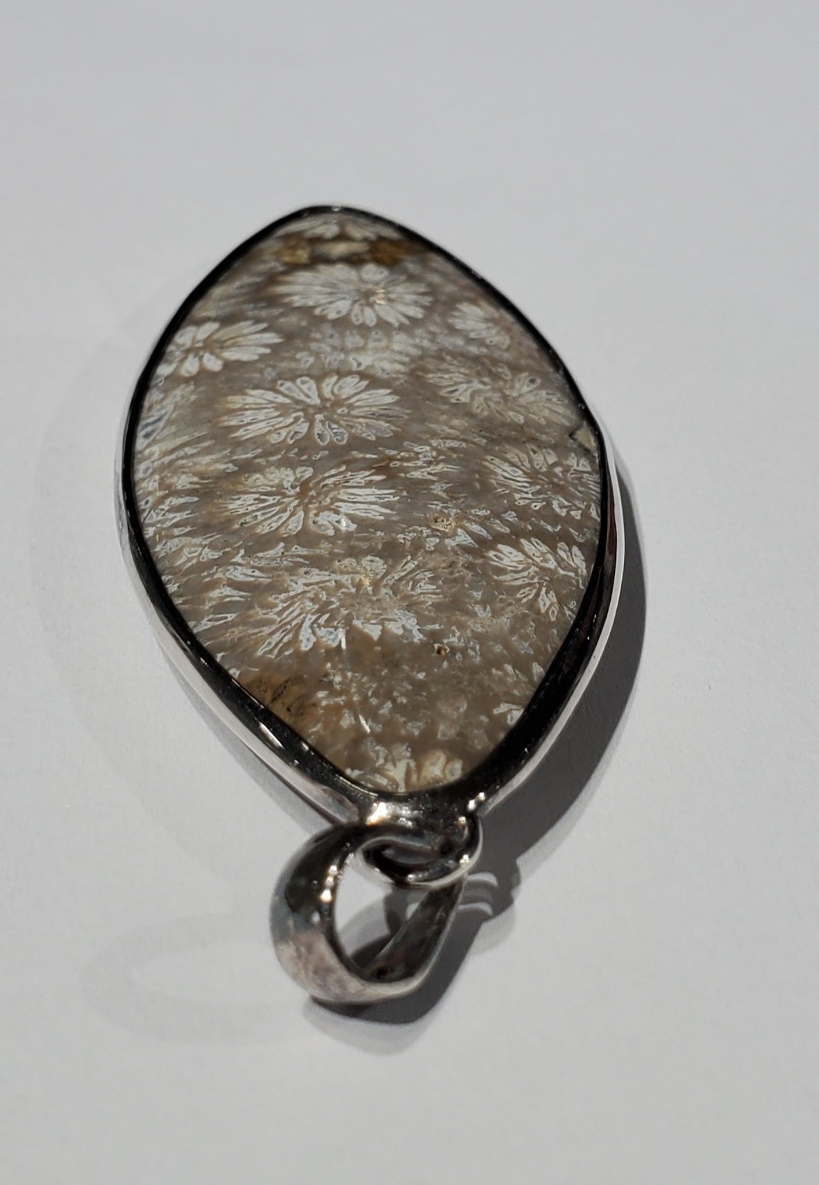 Fossilized Coral Pendant