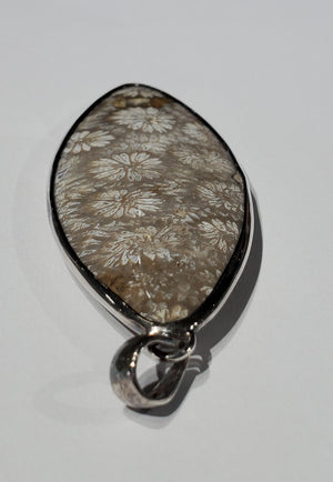 Fossilized Coral Pendant