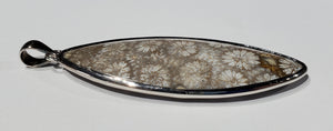 Fossilized Coral Pendant