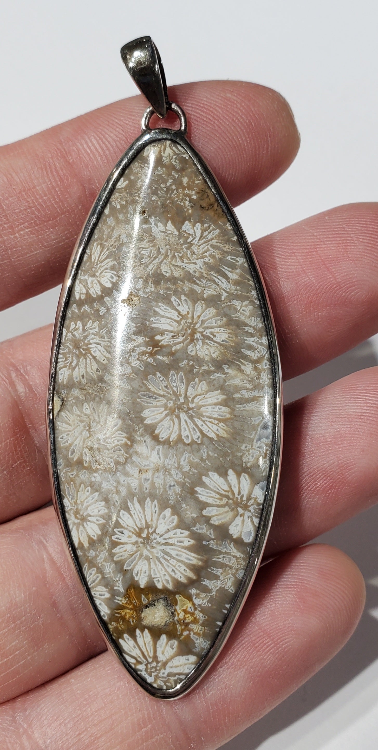 Fossilized Coral Pendant