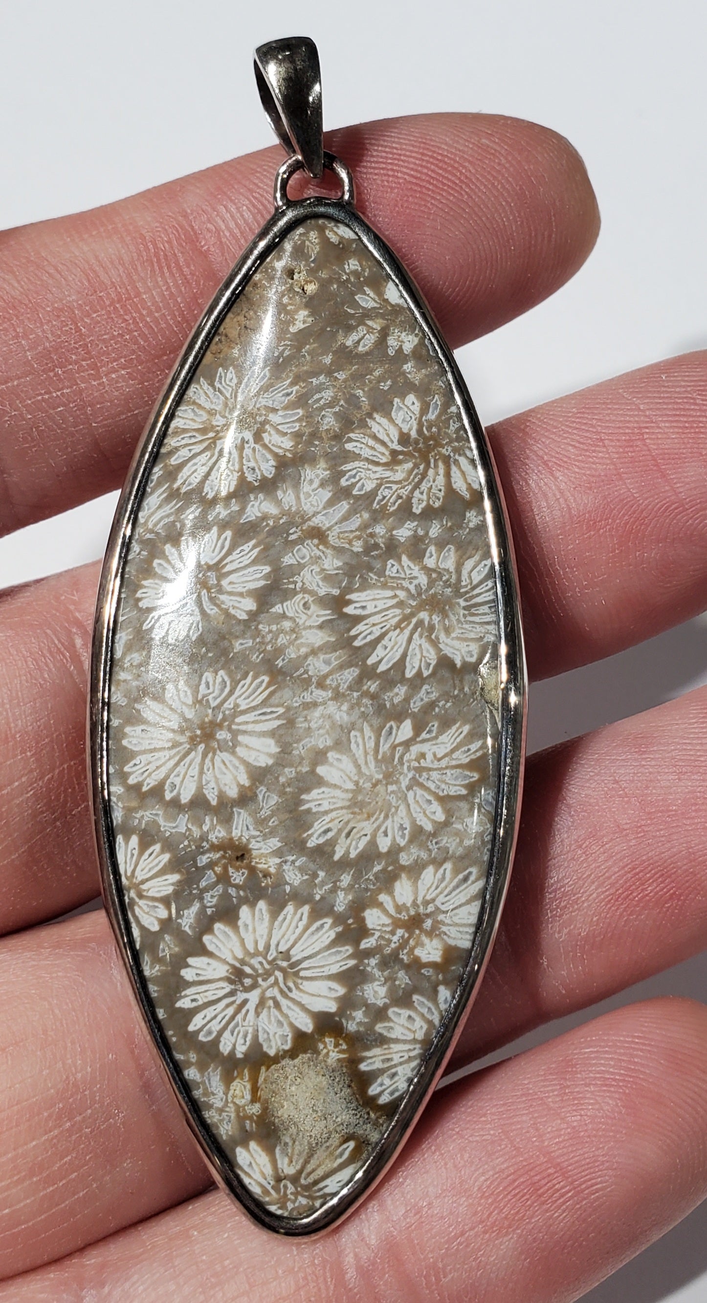 Fossilized Coral Pendant