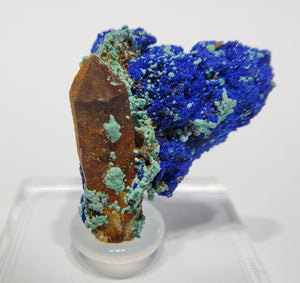 Azurite w/ Malachite and Quartz (Morocco)