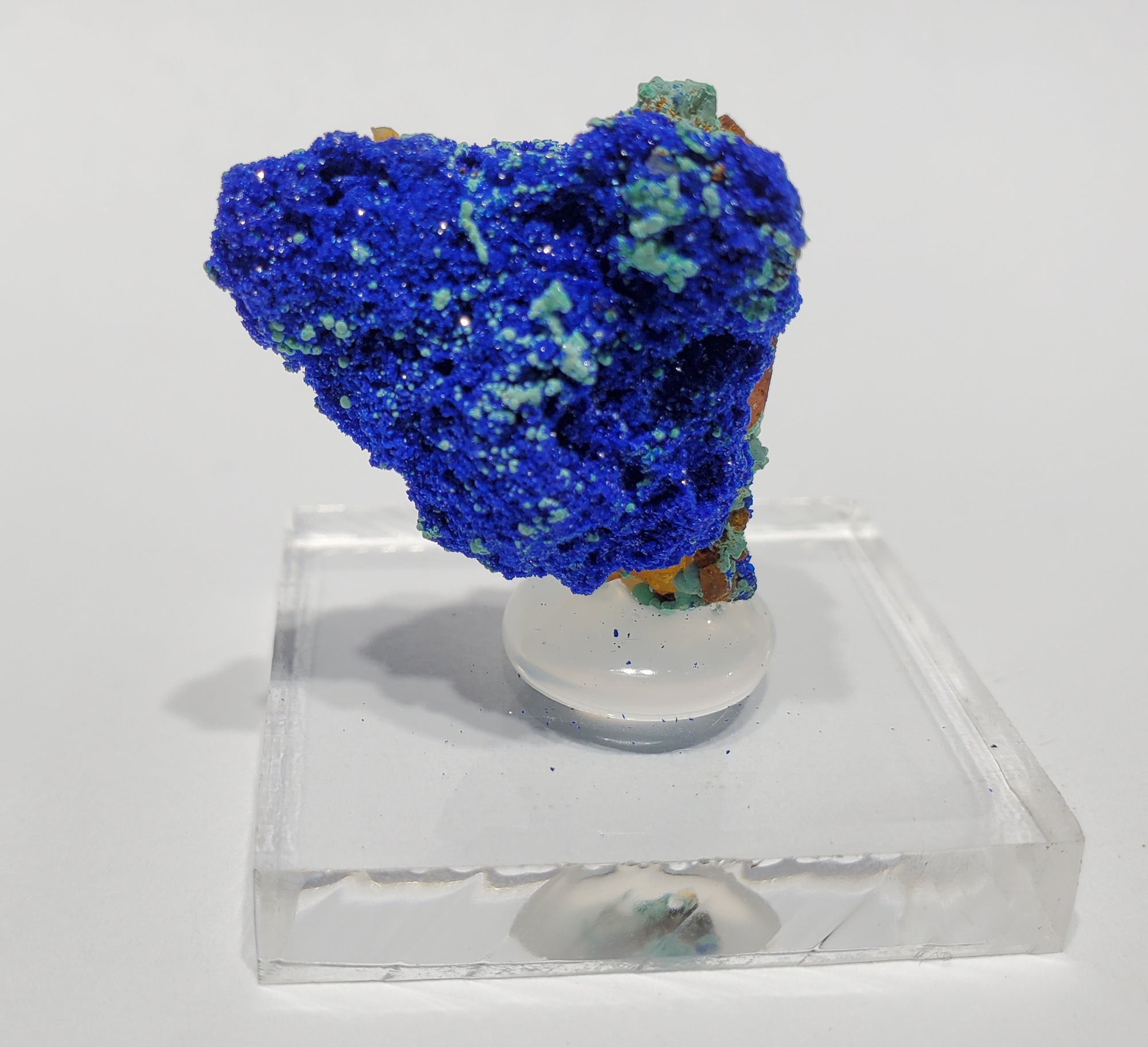 Azurite w/ Malachite and Quartz (Morocco)