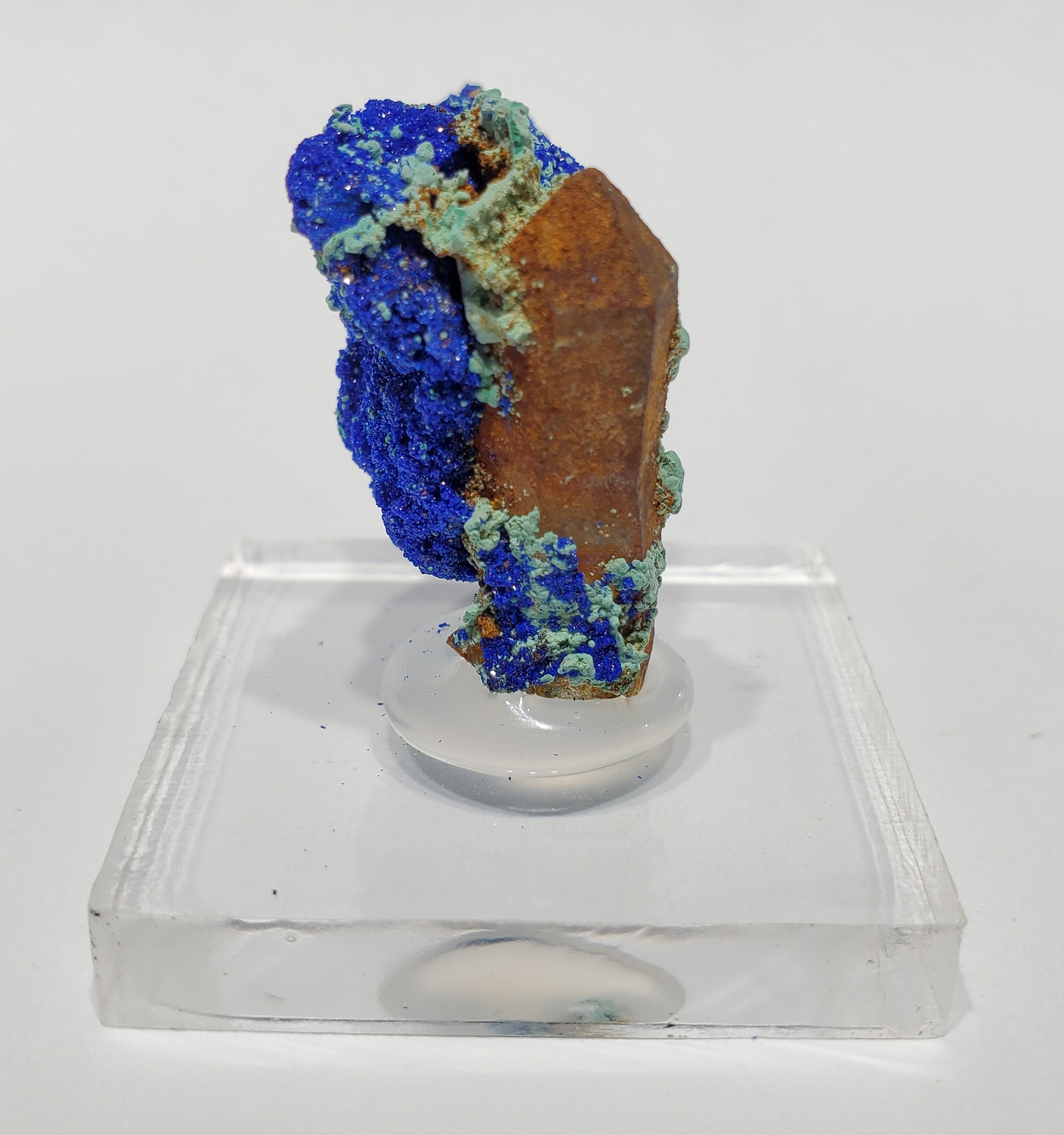 Azurite w/ Malachite and Quartz (Morocco)