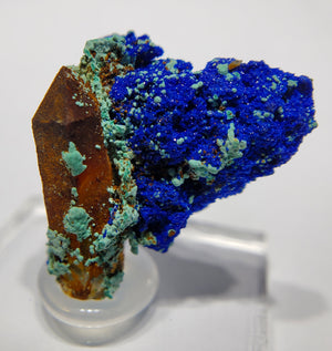 Azurite w/ Malachite and Quartz (Morocco)