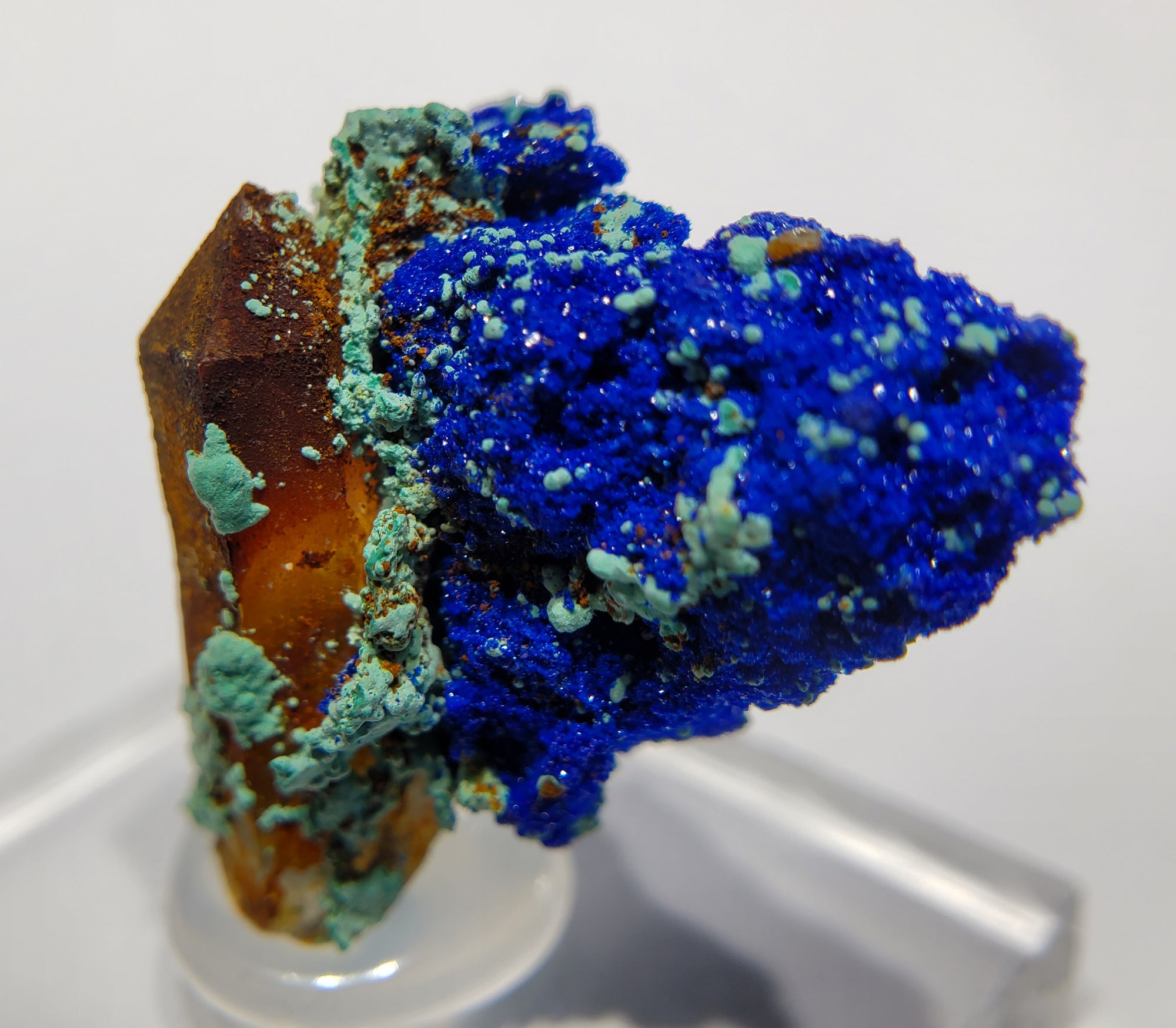 Azurite w/ Malachite and Quartz (Morocco)