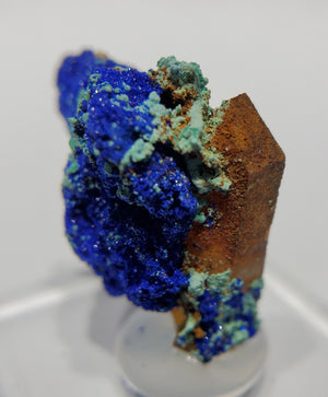 Azurite w/ Malachite and Quartz (Morocco)