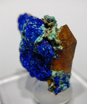 Azurite w/ Malachite and Quartz (Morocco)