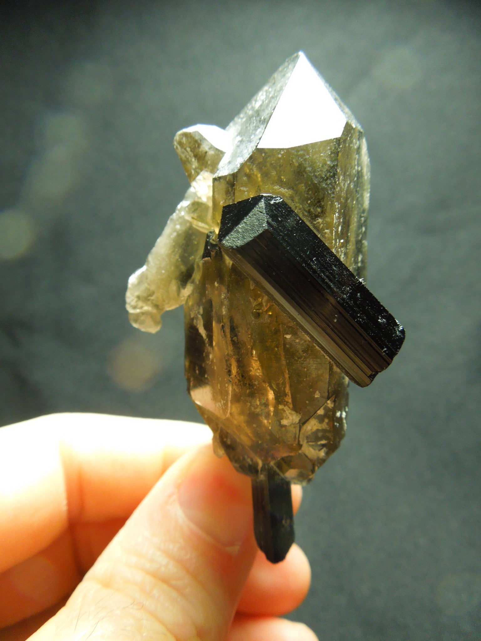 Smoky Quarz w/ Green Tourmaline