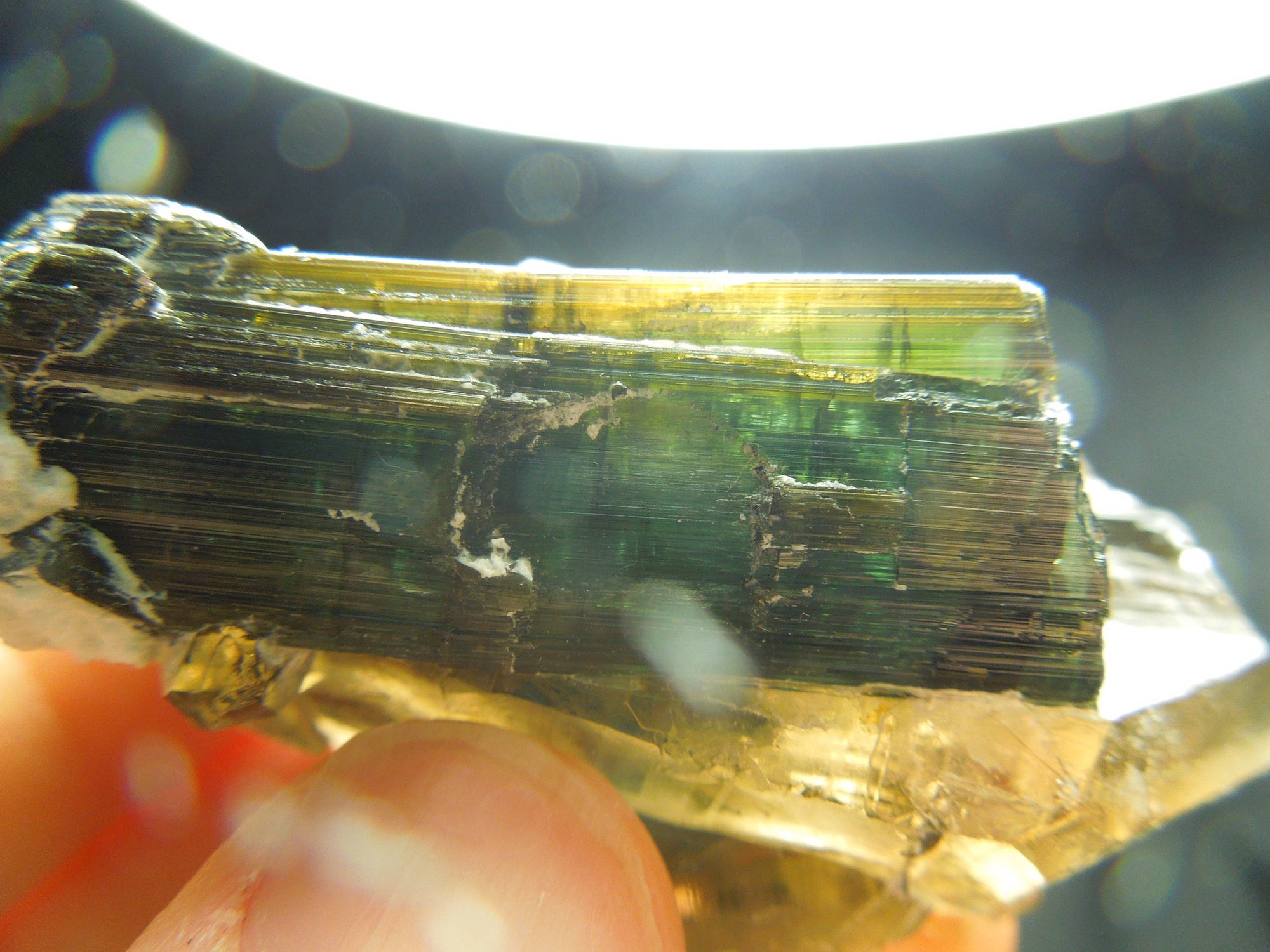 Smoky Quarz w/ Green Tourmaline
