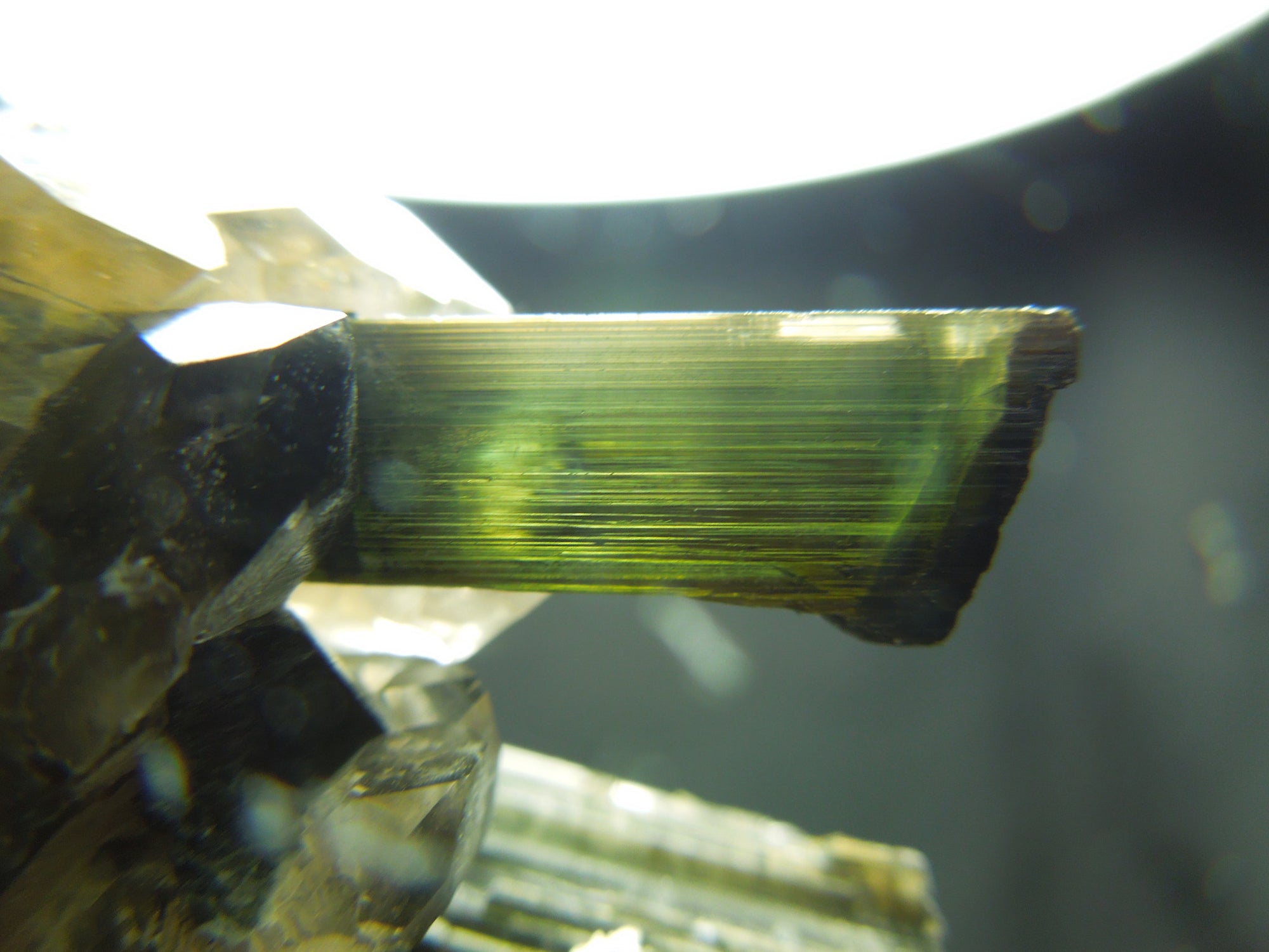 Smoky Quarz w/ Green Tourmaline