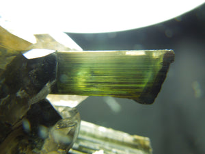 Smoky Quarz w/ Green Tourmaline