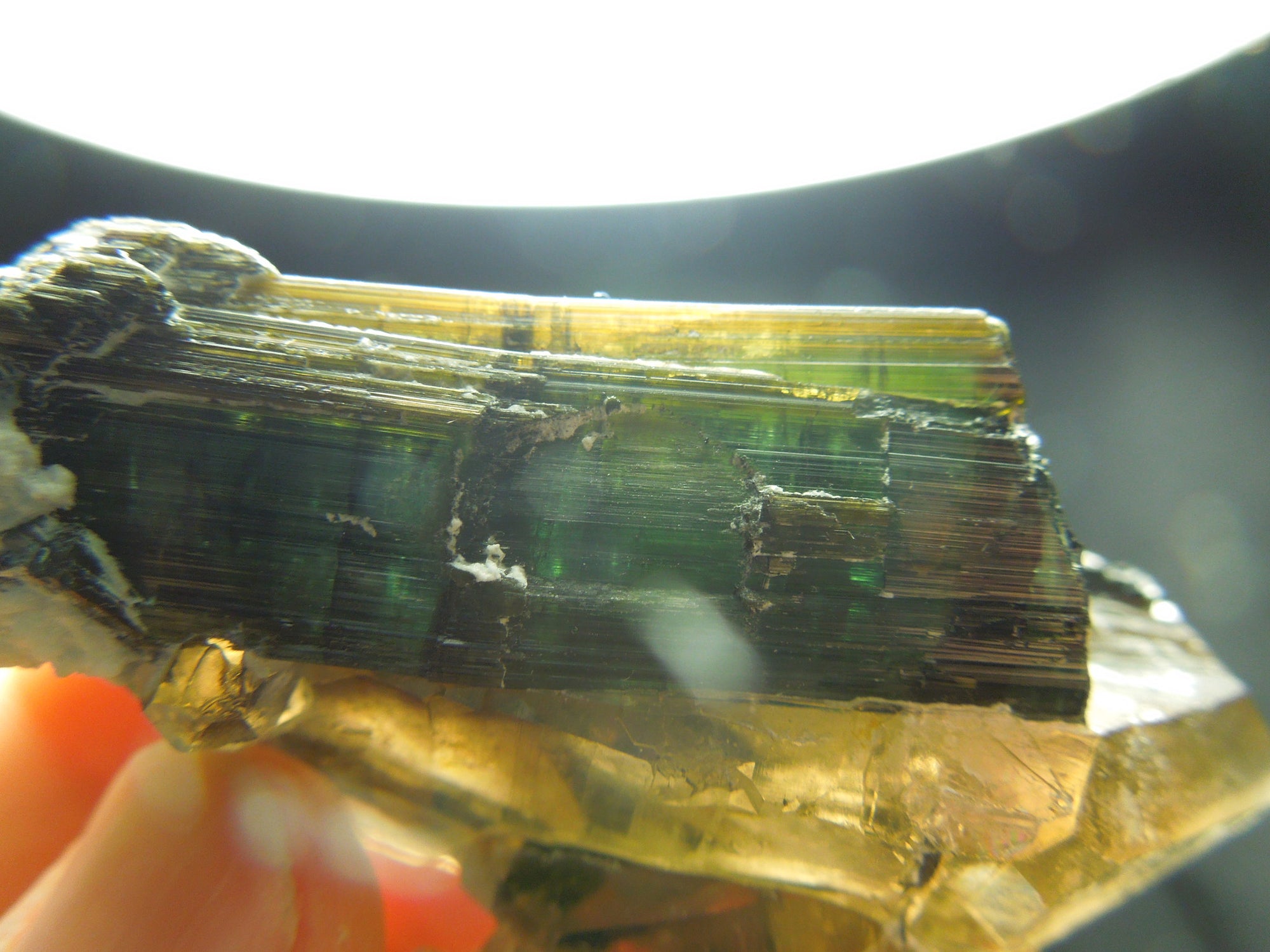 Smoky Quarz w/ Green Tourmaline