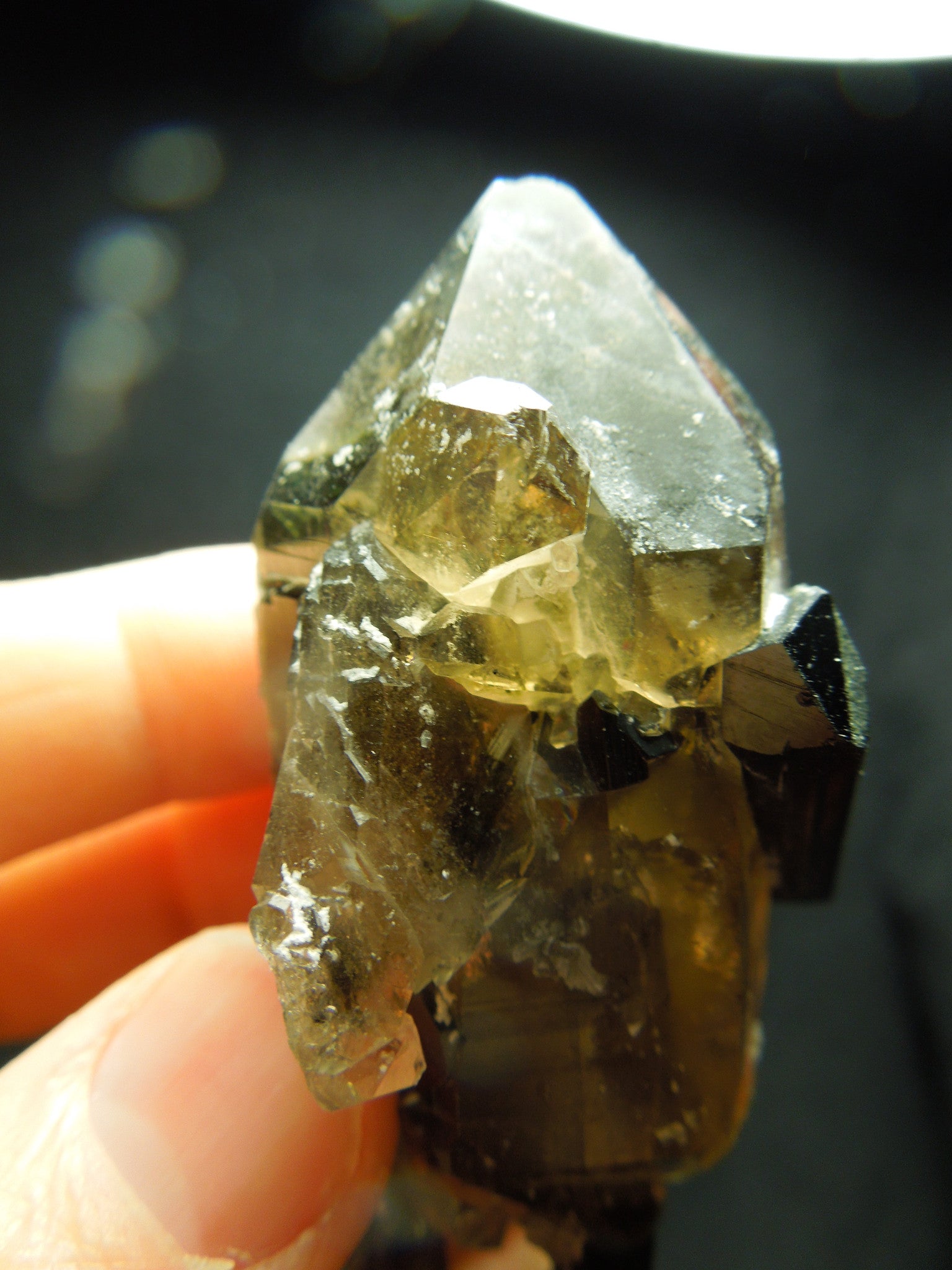 Smoky Quarz w/ Green Tourmaline