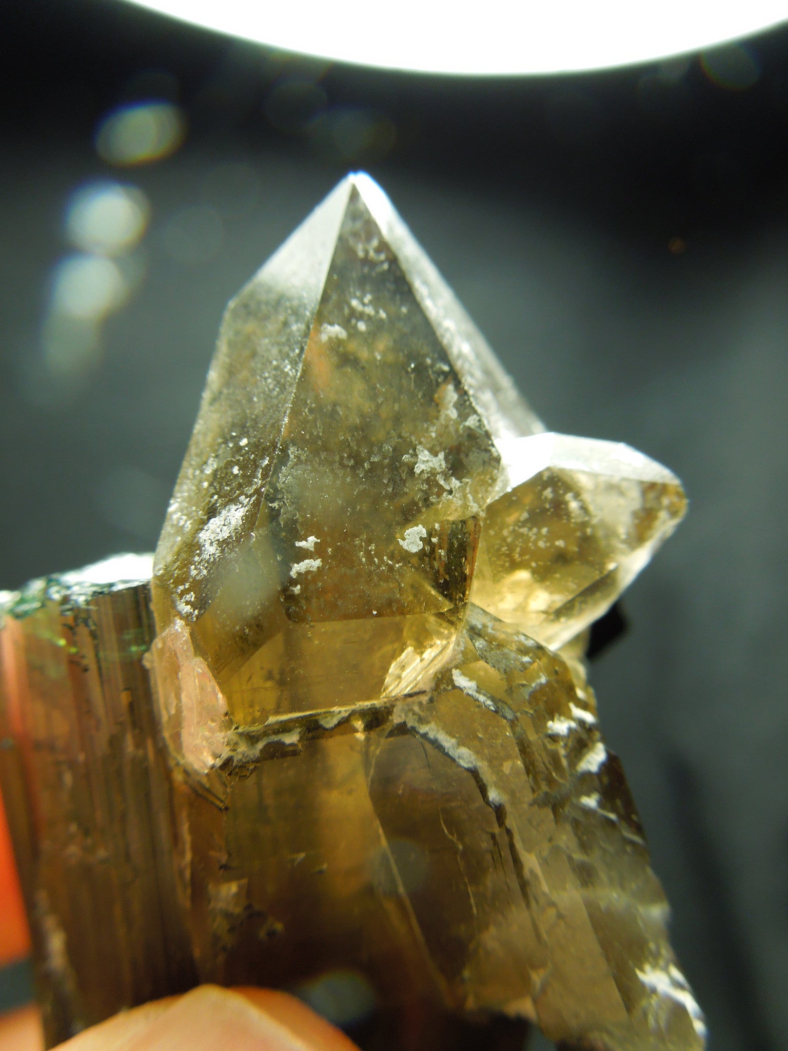 Smoky Quarz w/ Green Tourmaline