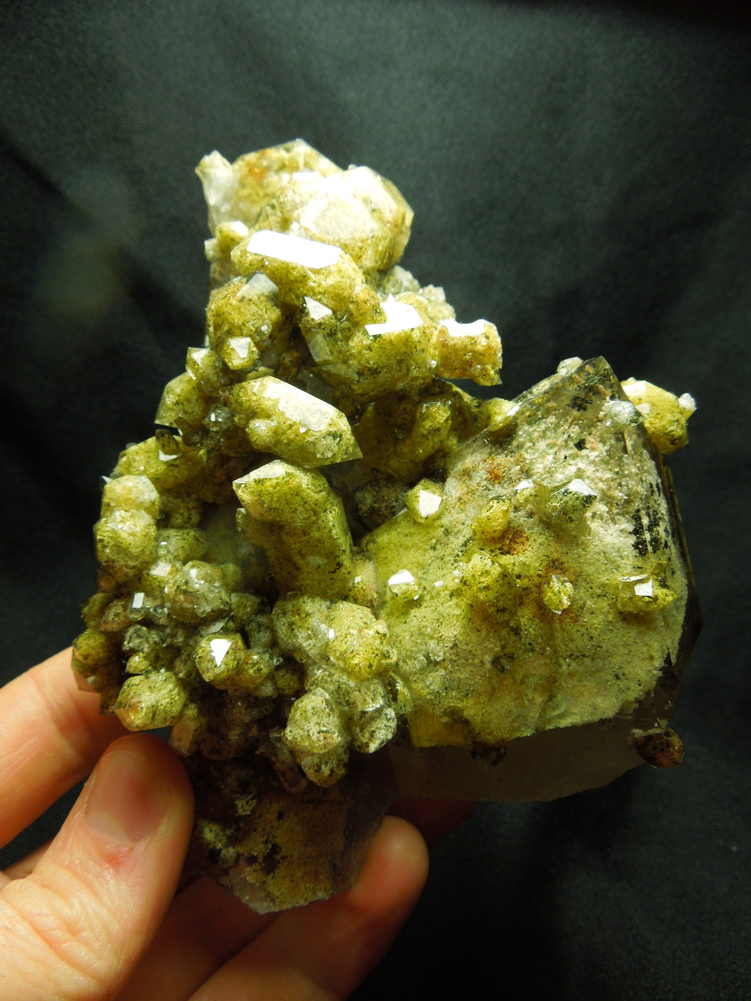 Chlorite Quartz Cluster, Lodolite