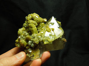 Chlorite Quartz Cluster, Lodolite