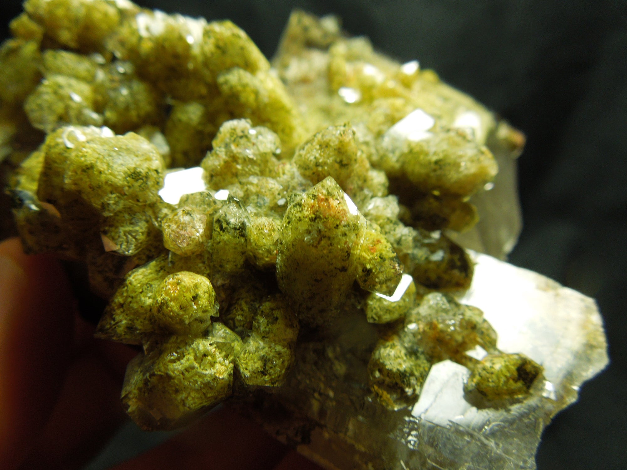 Chlorite Quartz Cluster, Lodolite