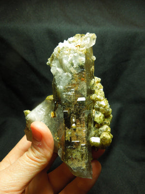 Chlorite Quartz Cluster, Lodolite