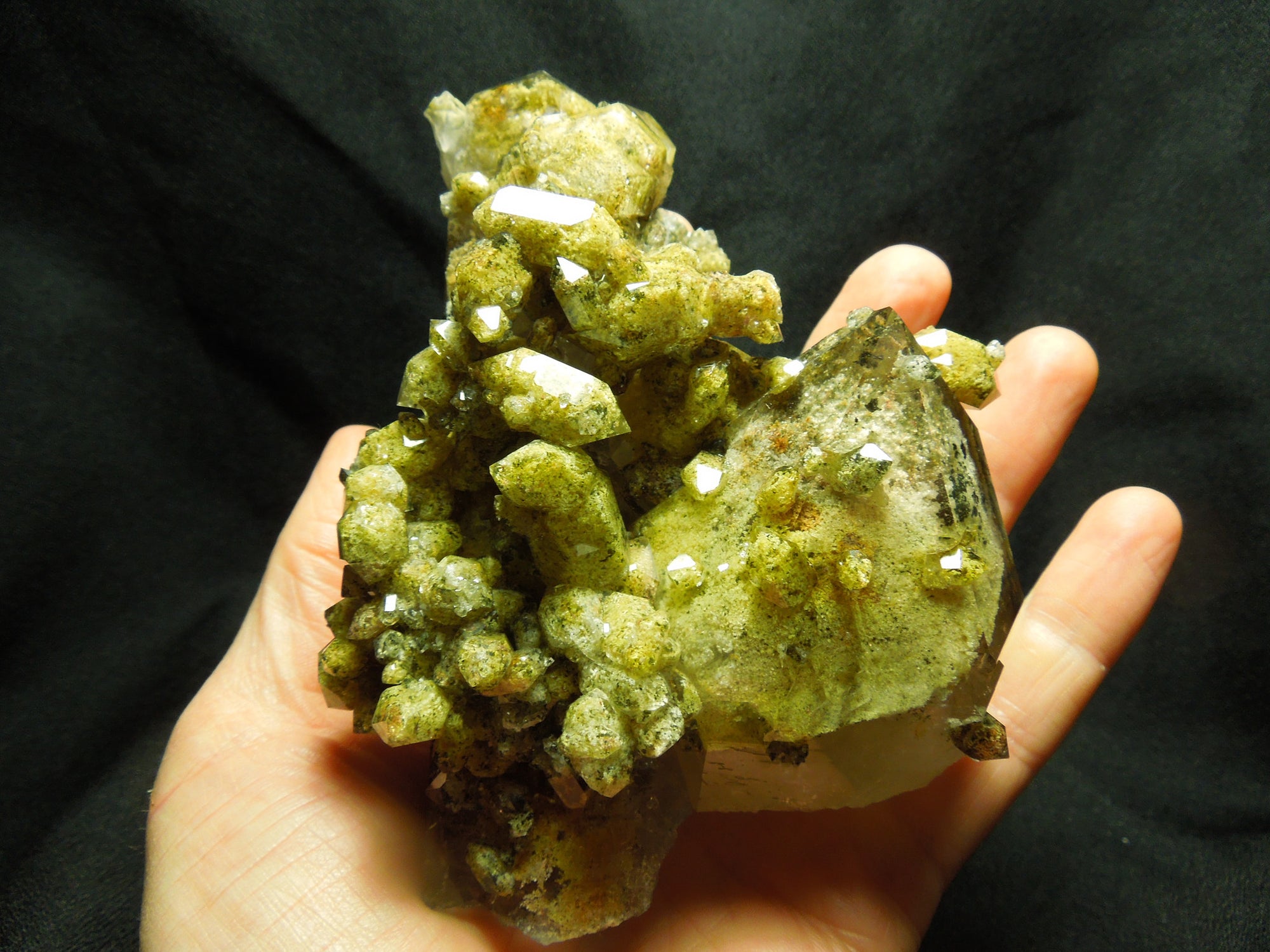 Chlorite Quartz Cluster, Lodolite