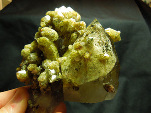 Chlorite Quartz Cluster, Lodolite