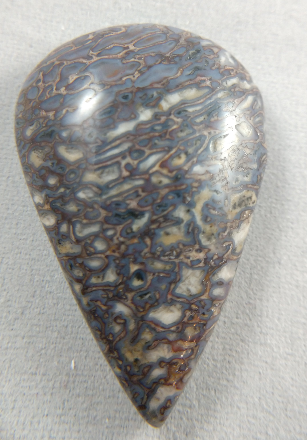 Dinosaur Bone Cabochon
