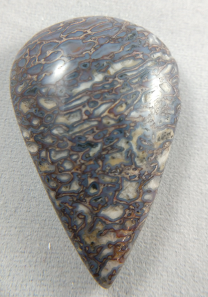 Dinosaur Bone Cabochon