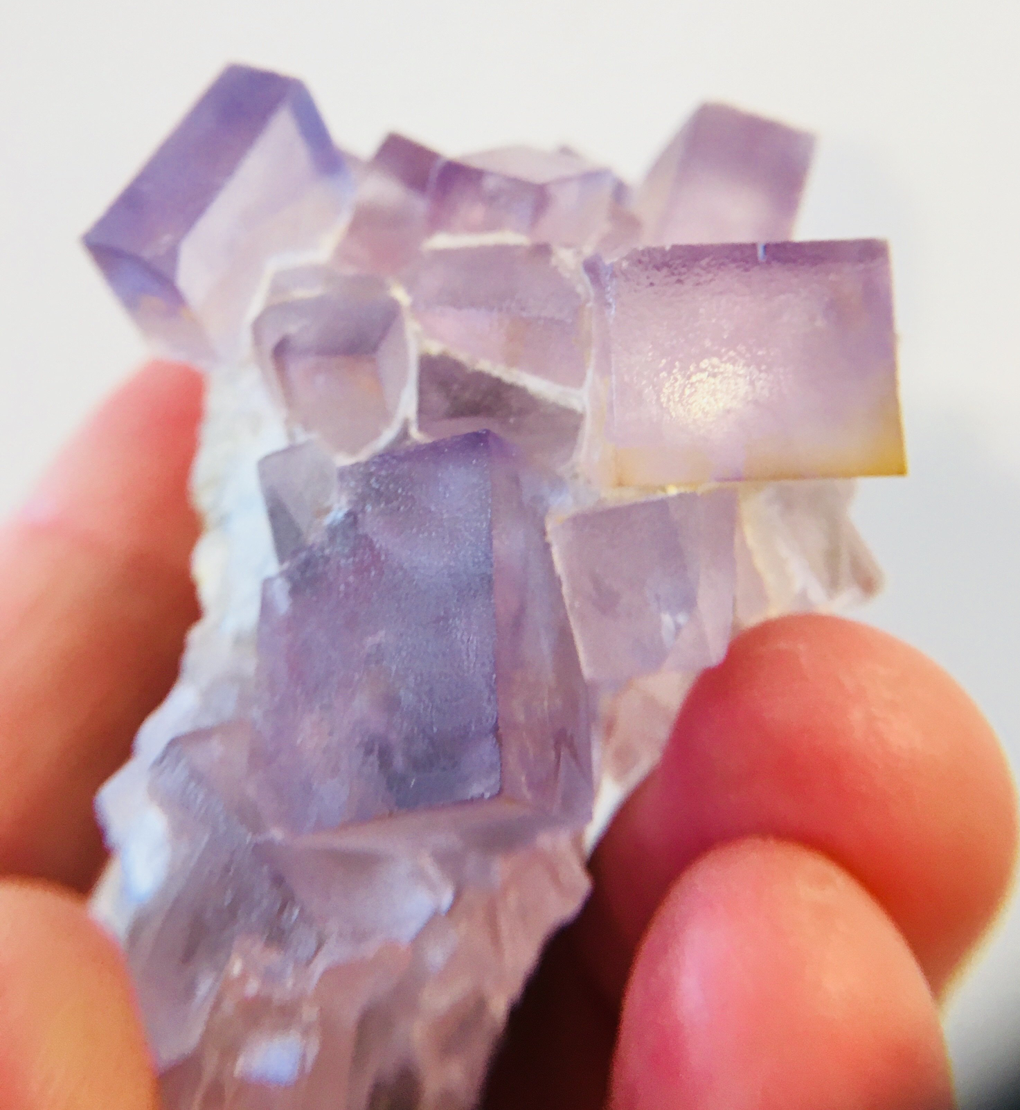 Fluorite, Tauorirt Mine, Morocco