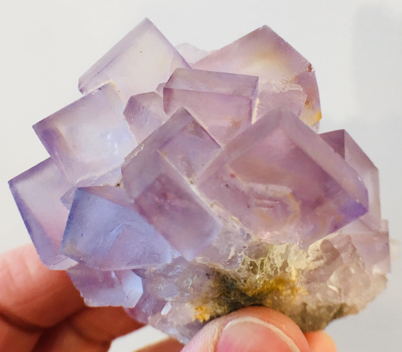 Fluorite, Tauorirt Mine, Morocco