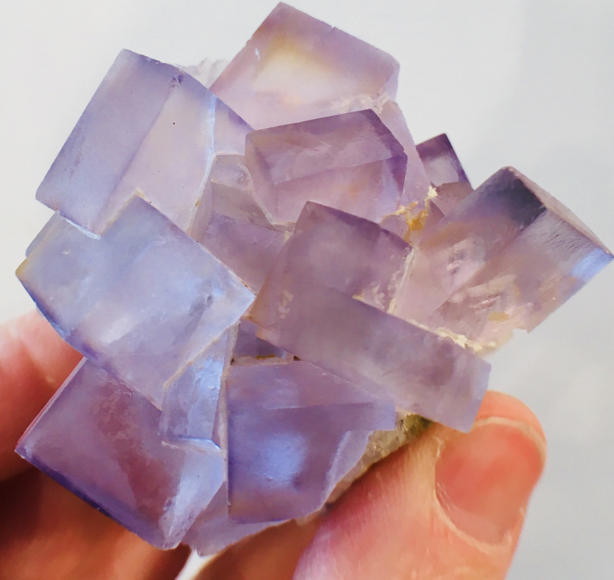 Fluorite, Tauorirt Mine, Morocco